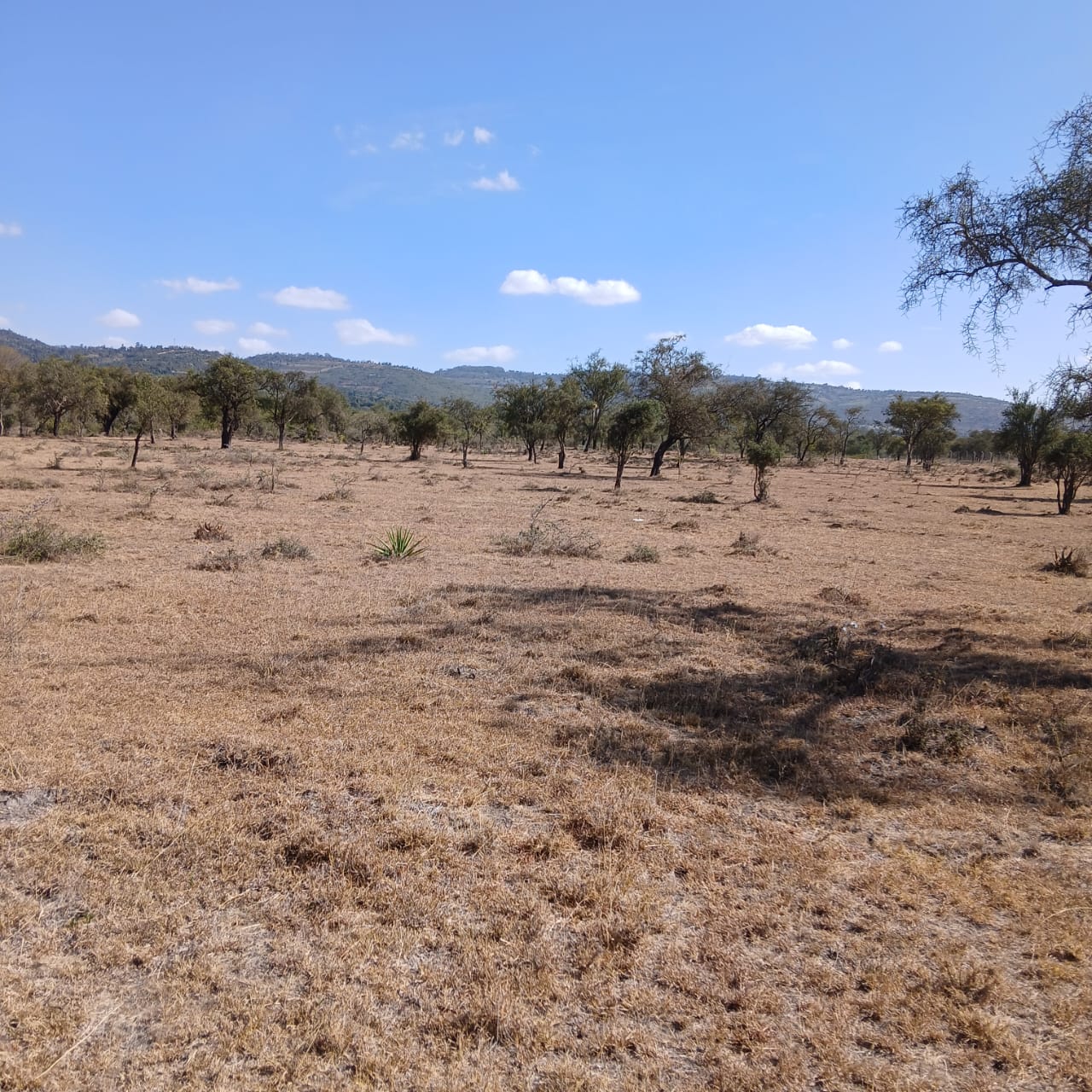 5 acres at Koma hills @ 1.9M per Tala-Kangundo Road