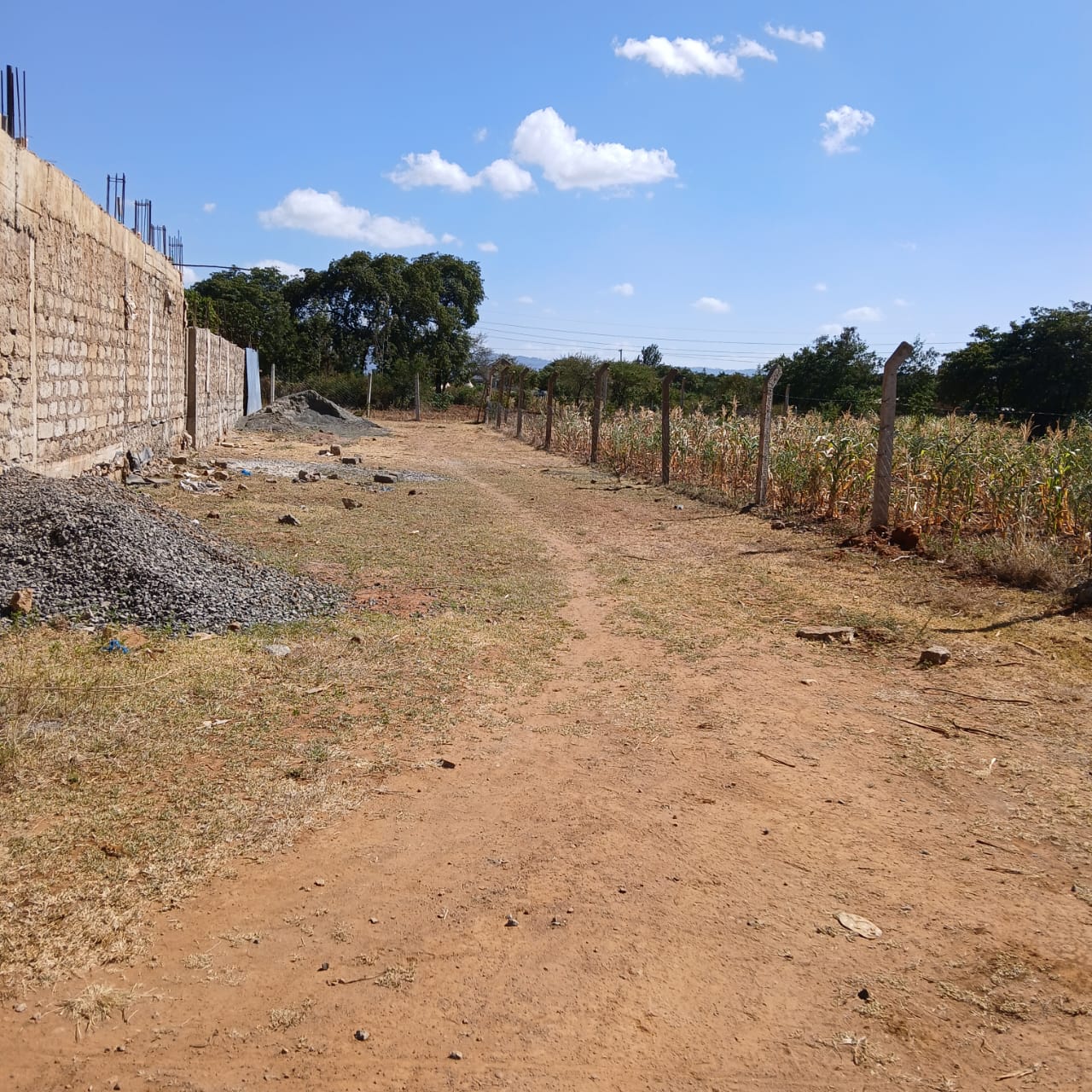 100 X 100 Plot at Nguluni @ KSH 2.7M.
